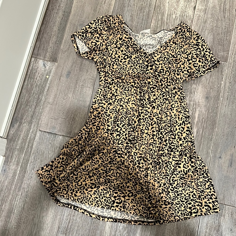 Francesca’s Dress